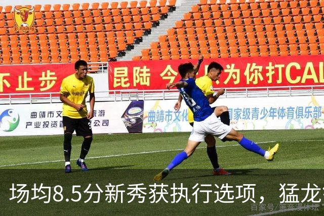 场均8.5分新秀获执行选项，猛龙锁定两名年轻替补