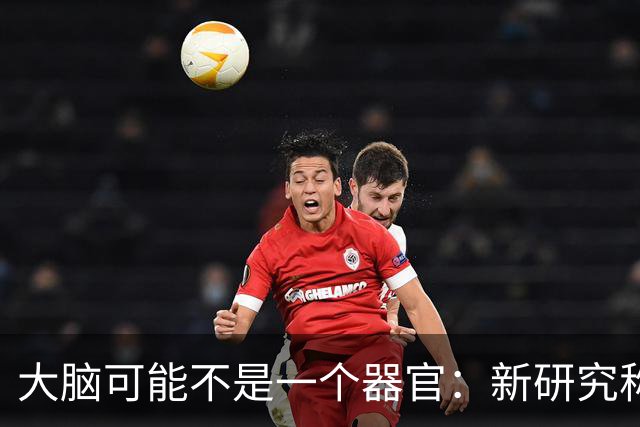 大脑可能不是"一个器官"：新研究称它由两套神经系统拼合而成