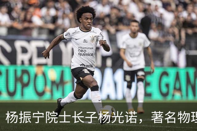 杨振宁院士长子杨光诺，著名物理学家兼诺贝尔物理奖获得者