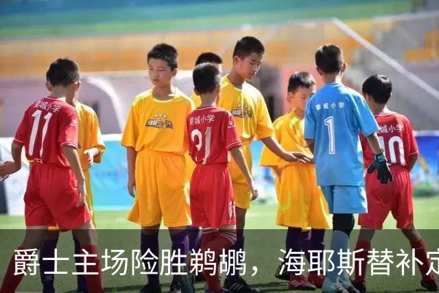爵士主场险胜鹈鹕，海耶斯替补定防守基调